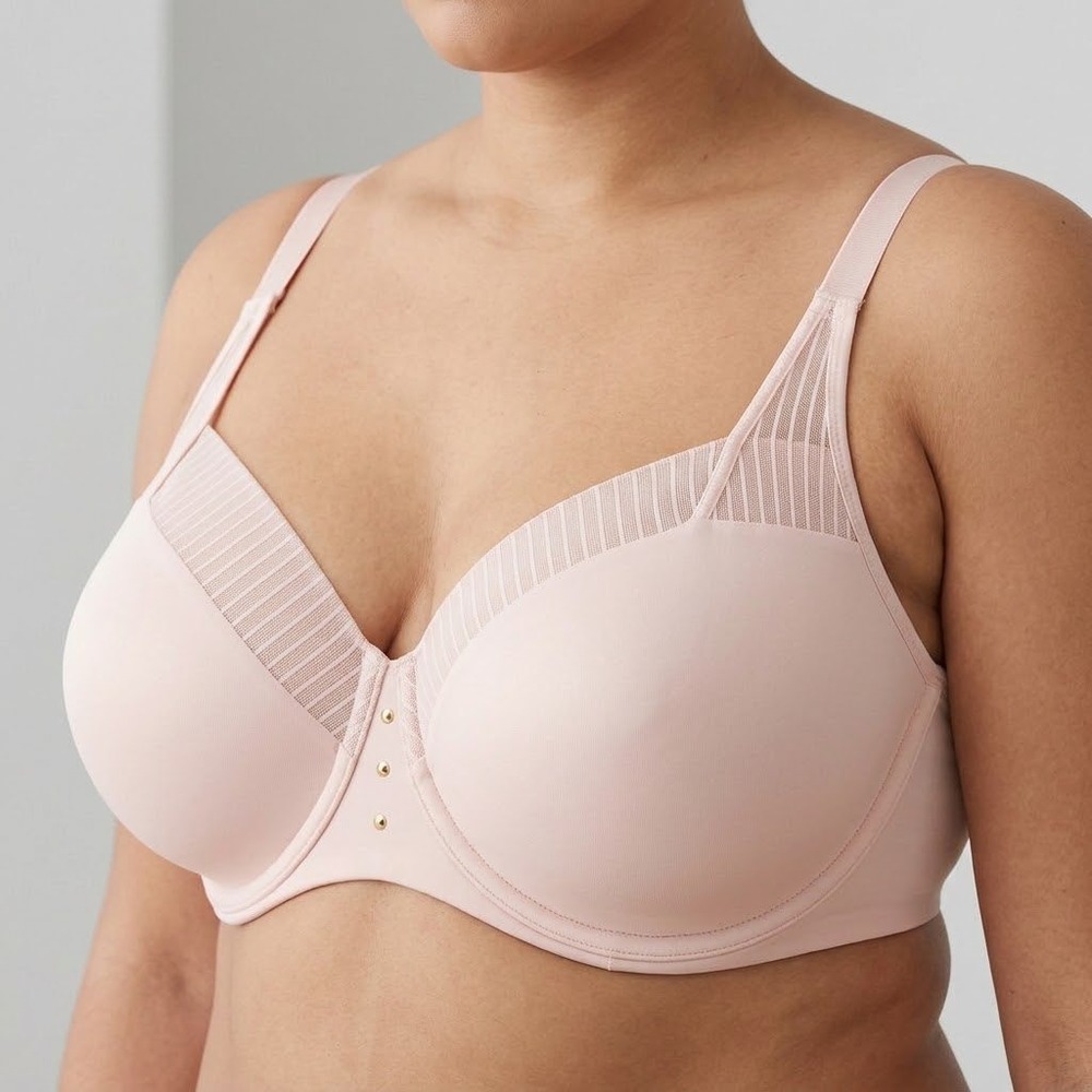Deesse Lingerie Bra 38H Pink Mesh Trim Underwire Full Coverage Support Romantic